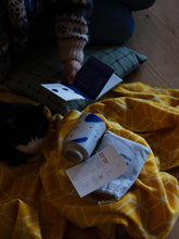 Load image into Gallery viewer, 23° 26' - FOUR Seasons